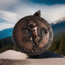 Medaglia adunata alpini usato  Zerbolo