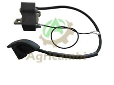 stihl fs350 decespugliatore usato stihl fs350 decespugliatore usato Villaricca