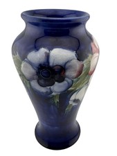 flower anemone for sale flower anemone for sale Cerritos