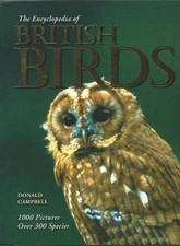 British birds for sale  UK