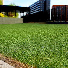 Rescape seashore paspalum for sale  Denver