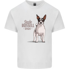 Jack russell dog for sale  COVENTRY