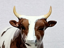Beswick ayrshire bull for sale  NEWCASTLE