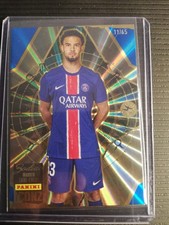Panini iconz warren d'occasion  Marseille VIII