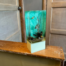 column fish tank for sale column fish tank for sale BROMYARD