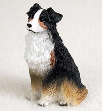 Australian shepherd mini for sale  Rochester