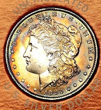 1883 morgan dollar for sale  Castle Rock
