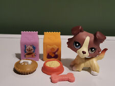 petshop chien d'occasion  Expédié en Belgium