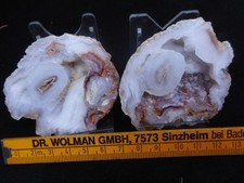 Chalcedon 2 stück gebraucht kaufen  Ebertsheim