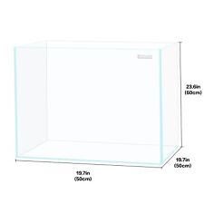 Gallon aquarium fish for sale  Rancho Cucamonga
