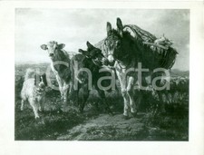 1935 mostre arte usato  Milano