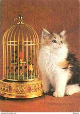 Animals cats kittens d'occasion  Expédié en Belgium