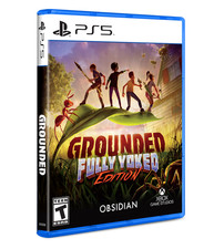 Grounded full yoked usato  Spedire a Italy