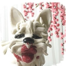 Dog spaghetti westie for sale  HEREFORD