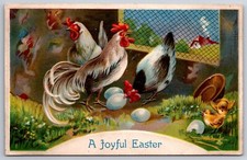 Easter rooster rules for sale  Newton