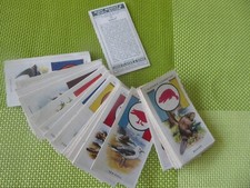 boy scout cigarette cards for sale boy scout cigarette cards for sale BURGESS HILL
