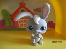 Petshop lapin garenne d'occasion  Saint-Omer