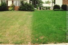 lawn soil for sale lawn soil for sale DARLINGTON