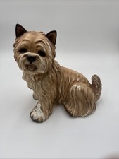 Yorkshire cairn terrier for sale  Rogers City