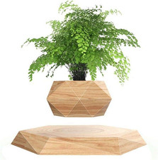 Vasi per bonsai usato Vasi per bonsai usato  Roma