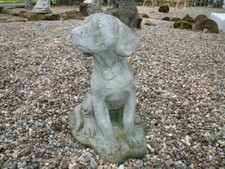 Regal young hunting for sale  Carmi