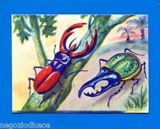 Animali lampo 1964 usato  Maranello