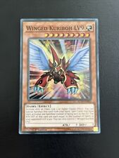 Carta kuriboh alato usato  Montalto Uffugo