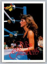 1989 classic wwf for sale  Paragould