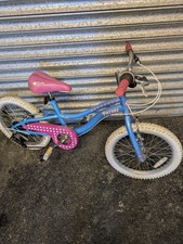 Pizza cruisy girls for sale  BARGOED