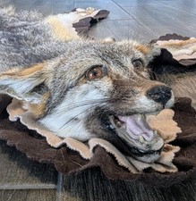 Vintage grey fox for sale  Kyle