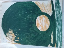 Boero renata serigrafia usato  Vittuone
