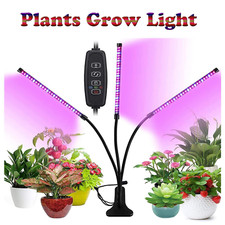 Head led grow for sale  NORTHAMPTON