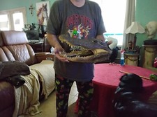 Alligator head foot for sale  Kemah