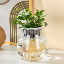 Mini hydroponic flower usato  Spedire a Italy