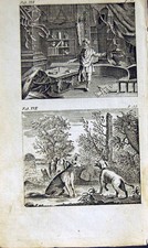 Antique old print for sale  UK