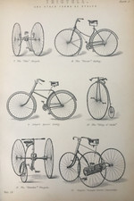Antique tricycle print for sale  TORRINGTON