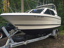 1996 24ft bayliner for sale  Kintnersville