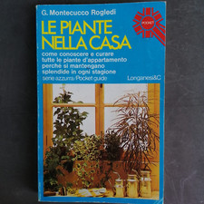 Piante nella casa. usato  Molinella