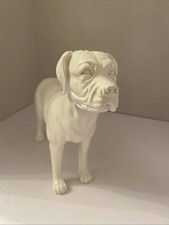 American boxer dog for sale  Gretna