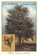 Chromos.am22721.cacao van hout d'occasion  France