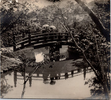 Jardin japonais vintage d'occasion  Pagny-sur-Moselle