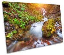 Sunset landscape woodland for sale  UK