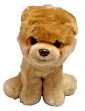 Pomeranian puppy dog for sale  Medford