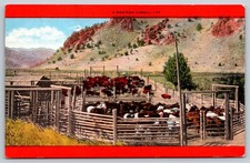 Western corral postcard for sale  Apex