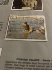 Figurina n.91 degli usato  Firenze