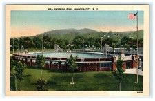 Piscina Johnson City NY New York Early Linen View comprar usado  Enviando para Brazil
