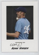 2004 minors rookies for sale  Auburn
