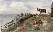 Cliffs polperro cornwall for sale  SALISBURY