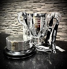 Trofeo replica coppa usato  Spedire a Italy