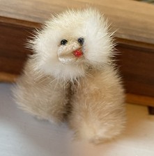 Vintage authentic mink for sale  Saint Augustine